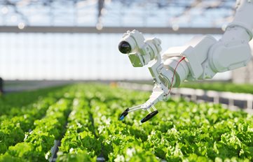 Robotic crop management